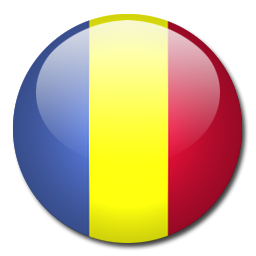 en flag